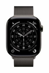Apple MGJ74ZM/A smart wearable accessory Band Slate colour Stainless steel 