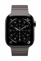 Apple 42mm Slate Link Bracelet 