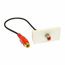 Cables Direct ZZ-MOD-1RCAR keystone module 