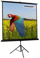 Celexon 1090016 projection screen 1:1 