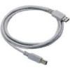 Datalogic Straight Cable - Type A USB USB cable 
