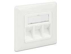 DeLOCK 86194 socket-outlet RJ-45 Silver,White 