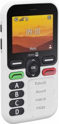 Doro Leva X10 6.1 cm [2.4"] 117 g Black, White Senior phone 