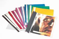 Durable CLEAR VIEW FOLDER 2570 A4 report cover Blue 