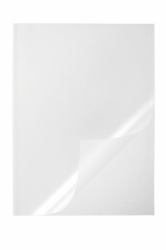 Durable 2919 report cover Polypropylene [PP] Transparent 