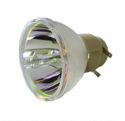 EasyLamp Pro-Gen ECL-6148-PG projector lamp 220 W UHP 