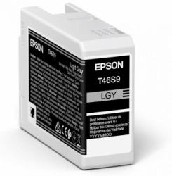 Epson Singlepack Light Gray T46S9 UltraChrome Pro 10 ink 25ml 