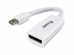 Equip Mini DisplayPort to DisplayPort adapter 