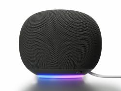 Google Home Grey