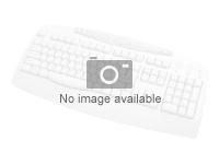 HP Zbook Create/Studio G7 - AR BL. KEYBOARD: Arabic. WARRANTY: 1YM
