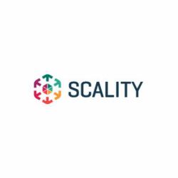HPE Scality RING Flash Geo Aware 200TB-1PB SW[per TB]with REST and SWIFT Base E-LTU for HP ProLiant Srvs Local storage 