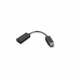 Lenovo 4X90R61023 video cable adapter 0.225 m DisplayPort HDMI Type A [Standard] Black 