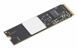 Lenovo 4XB1V57573 internal solid state drive 256 GB M.2 PCI Express 4.0 NVMe 