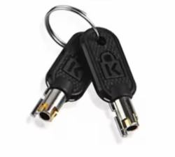 Lenovo 4Z10P40249 cable lock accessory Key Grey 
