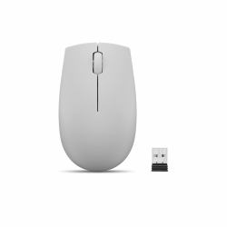 Lenovo 300 mouse Office Ambidextrous RF Wireless Optical 1000 DPI 