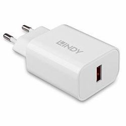 Lindy 73412 mobile device charger Smartphone, Tablet White AC Fast charging Indoor, Outdoor 