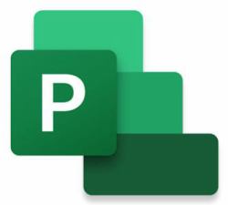 Microsoft Project Professional 2024 Project management Full 1 license[s] 