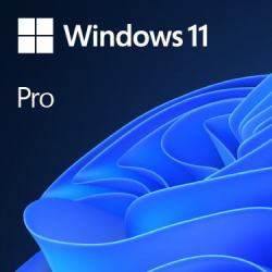 Microsoft Windows 11 Pro OEM 
