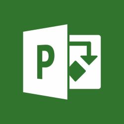 Microsoft Project Server Client Access License [CAL] 