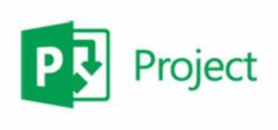 Microsoft Project Professional, Multi, Software Assurance Pack, OVL, Level D Open Value License [OVL] 1 license[s] Multilingual 1 year[s] 