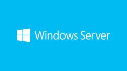 Microsoft Windows Server Open Value License [OVL] 