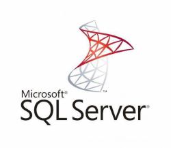 Microsoft SQL Server Web 2 license[s] Multilingual 