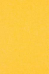 Middle Atlantic Focal Point TruTile TruTileTM Designs Acoustic Wall Tile in Pineapple, Double Arc 