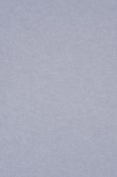 Middle Atlantic Focal Point TruTile TruTileTM Designs Acoustic Wall Tile in Pearl Ice, Wide Rule 