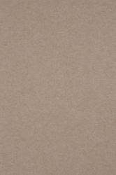 Middle Atlantic Focal Point TruTile TruTileTM Designs Acoustic Wall Tile in Hazelwood, Wide Slant 