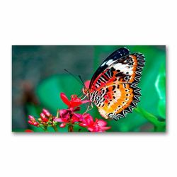 NEC MultiSync UN462VA signage display 