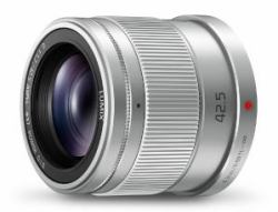 Panasonic H-HS043E MILC Telephoto lens Silver 