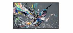 Philips 50BDL3511Q/00 Signage Display Digital A-board 127 cm [50"] 500 cd/m² 4K Ultra HD Black 18/7 