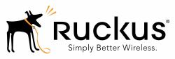 RUCKUS Networks 909-0550-ZD50 warranty/support extension 1 year[s] 