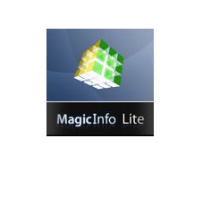 Samsung MagicInfo Lite S/W Server License 1 license[s] 
