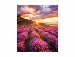 Samsung LH020IFHBAE video wall display Direct view LED [DVLED] Indoor 