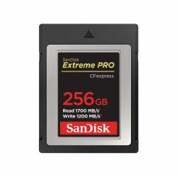 SanDisk SDCFE-256G-GN4NN memory card 256 GB CFexpress 