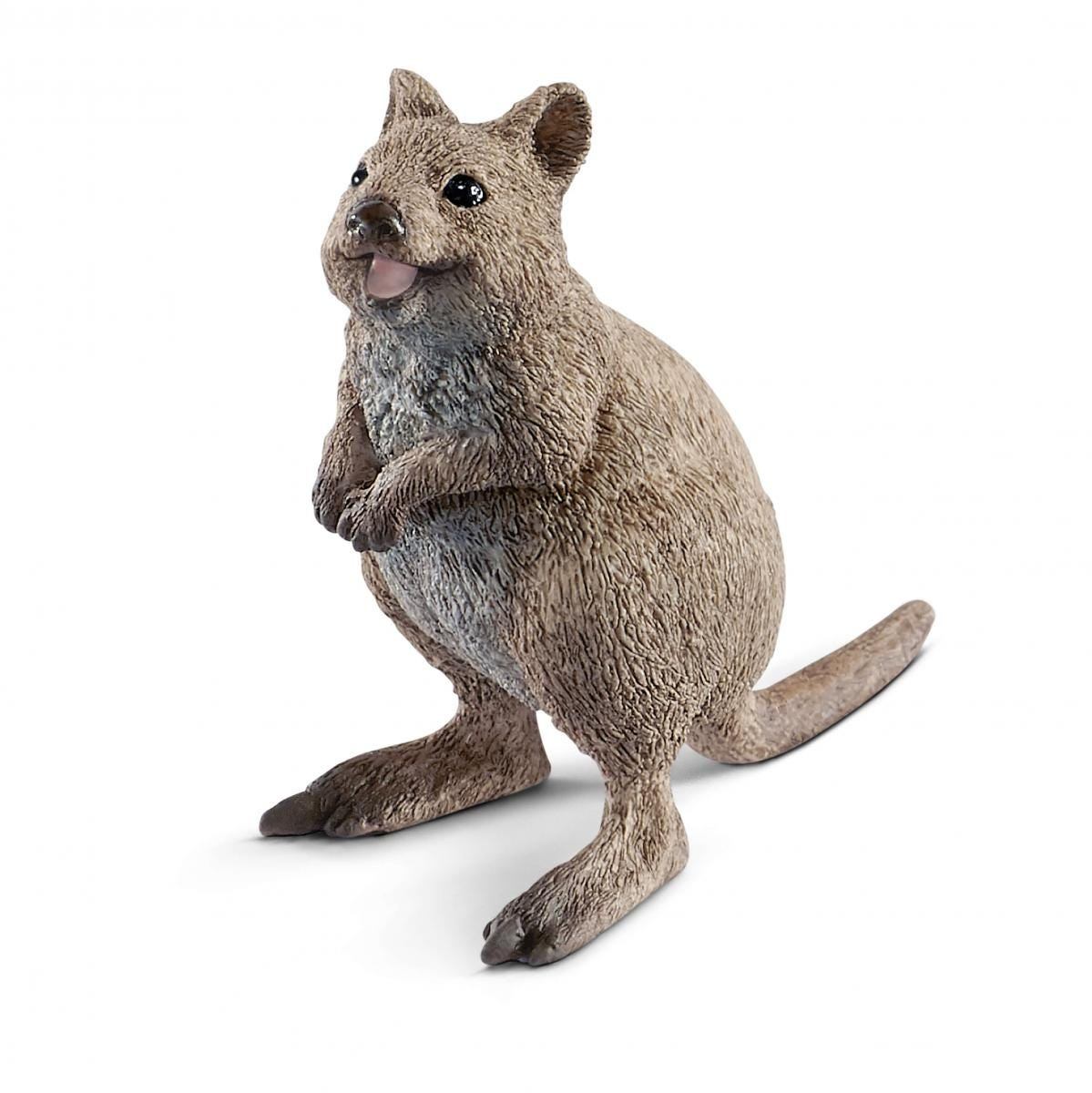 quokka doll