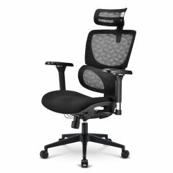 Sharkoon OfficePal C40 Padded seat Meshed backrest 