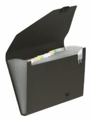 Snopake Expanding Organiser 