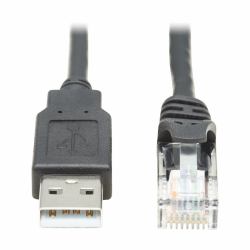 Tripp Lite U009-010-RJ45-X USB-A to RJ45 Rollover Console Cable [M/M] - Cisco Compatible, 250 Kbps, 10 ft. [3.05 m], Black 