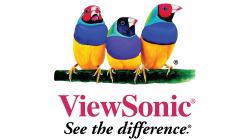 Viewsonic 4YOSS-CD65 warranty/support extension 1 license[s] 4 year[s] 