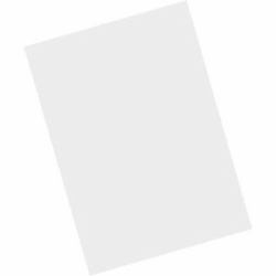 Zebra MISC-MC93-SCRN-01 handheld mobile computer accessory Screen protector 