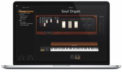 Apple Logic Pro MainStage 3 Audio editor 20 license[s] 