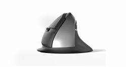 STANDIVARIUS AVE - ergonomic/wireless mouse 