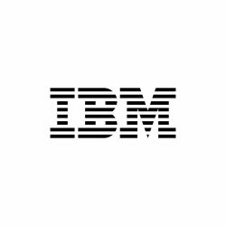 IBM E0805LL software license/upgrade 1 license[s] 12 month[s] 