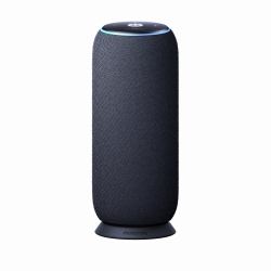 Motorola moto sound flow Mono portable speaker Carbon 30 W 