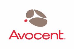 Vertiv Avocent SCNT-1YGLD-A-100PK licenza per software/aggiornamento Base 100 licenza/e 