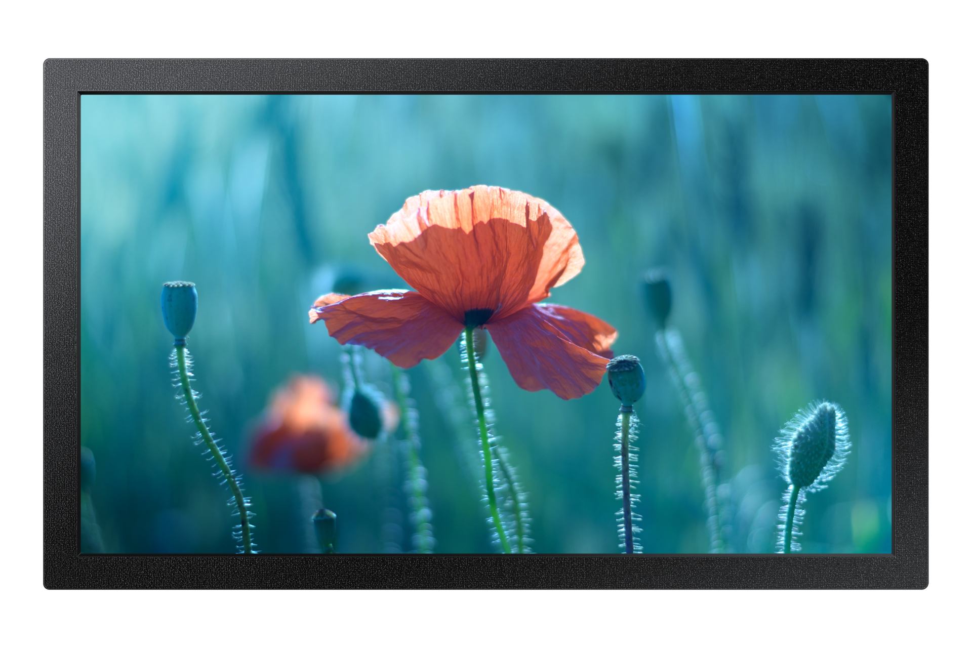 Samsung QB13C 33 cm [13] LCD Wi-Fi 500 cd/m² Full HD Black 16/7 (SAMSUNG QB13C)