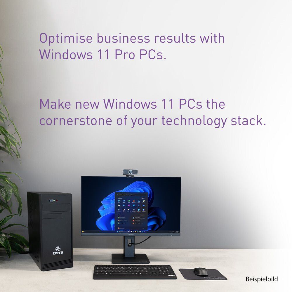 TERRA PC-BUSINESS 6000 AMD Ryzen™ 5 8600G 16 GB DDR5-SDRAM 500 GB SSD Windows 11 Pro Mini Tower Black (TERRA PC BUSINESS 6000)
