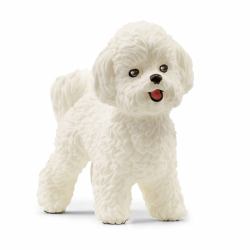 schleich Bichon Frise 